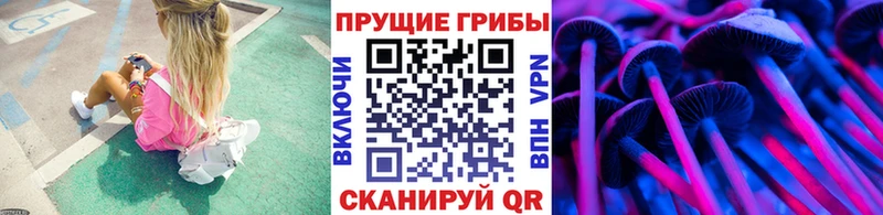 Галлюциногенные грибы Cubensis  дарк нет телеграм  Лагань 